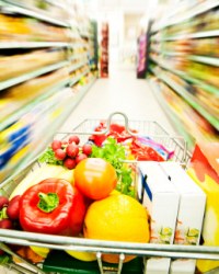 Auditoria  e Aconselhamento Técnico na Gestão da Segurança Alimentar