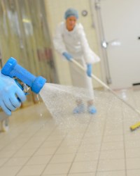 Audit Conseil Nettoyage et désinfection