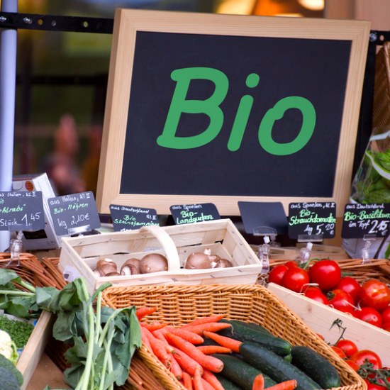 Bio