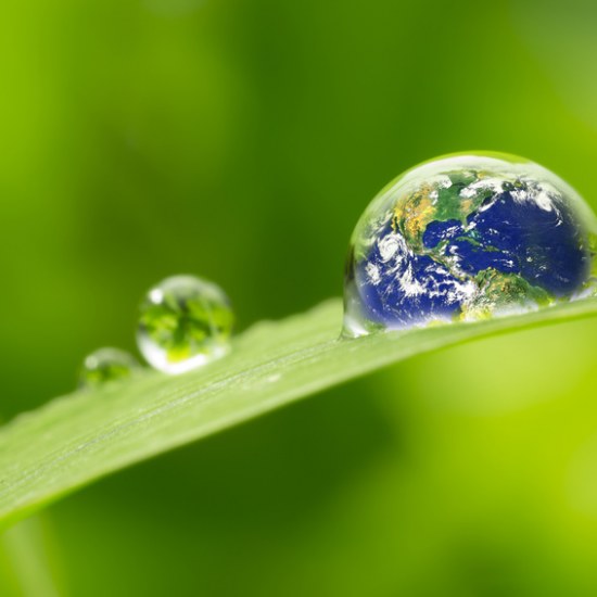 leaf with rain droplets - Recovery earth concept