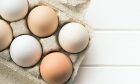 Oeufs fipronil