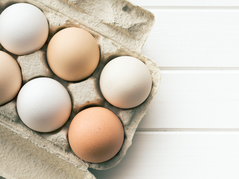 Oeufs fipronil
