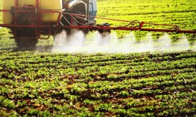 Pesticides
