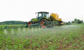 chlorpyrifos