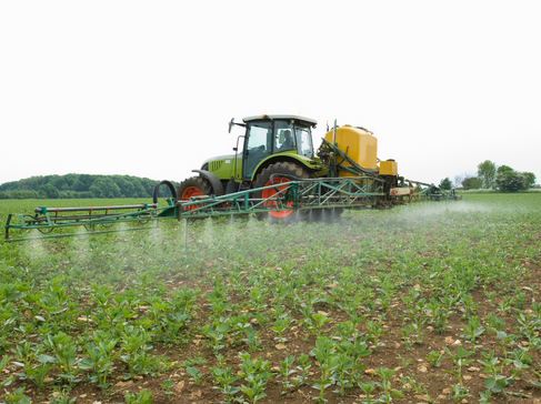 chlorpyrifos